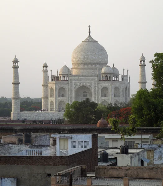Тадж-Махал в місті Agra — стокове фото