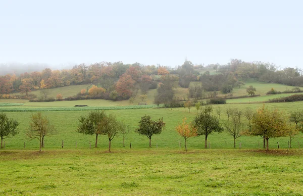 Paysage d'automne brumeux — Photo