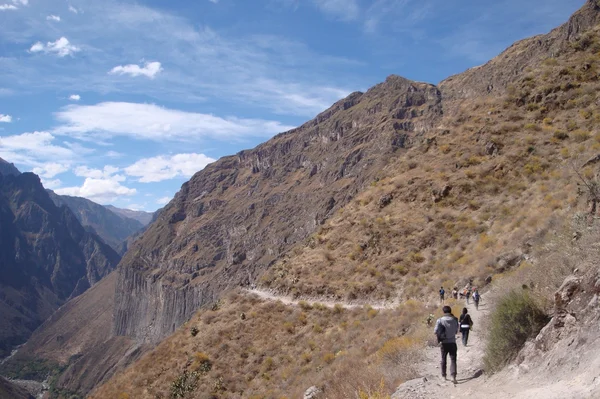 Canyon de colca — Fotografia de Stock