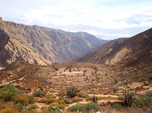 Kanion Colca — Zdjęcie stockowe