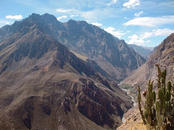 Canyon del colca — Foto Stock