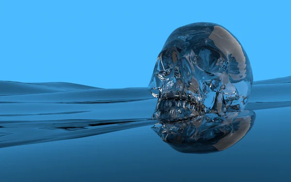 Water skull — Stock Photo, Image