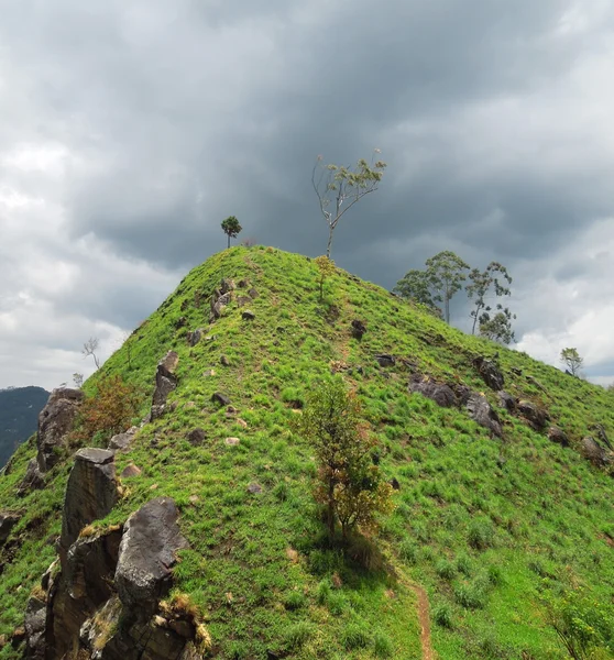 Bjerglandskab i Sri Lanka - Stock-foto