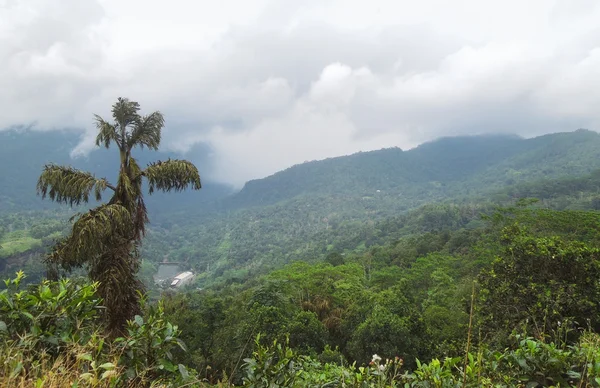 Paysages de montagne en Sri Lanka — Photo