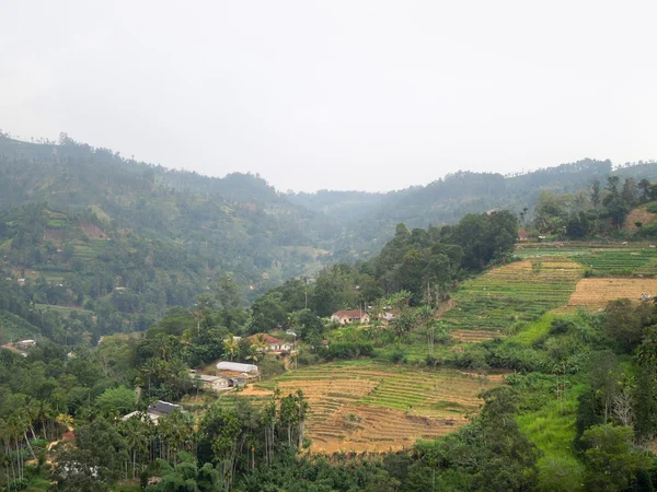 Paesaggio agricolo in Sri Lanka — Foto Stock