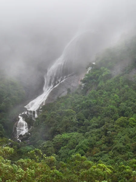 Sri Lanka 'da şelale — Stok fotoğraf