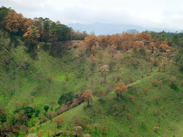 Paisajes de montaña en Sri Lanka — Foto de Stock