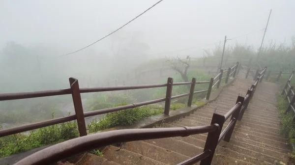 Stairway in Sri Lanka — Stock Photo, Image