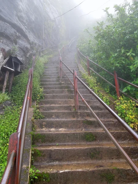 Лестница в Шри-Ланке — стоковое фото