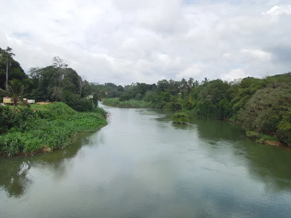 Paysages riverains en Sri Lanka — Photo