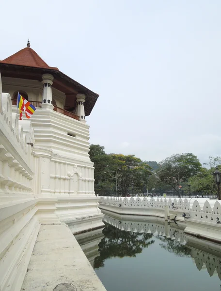 Templo do dente — Fotografia de Stock