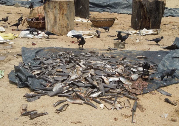 Mercado de pescado — Foto de Stock