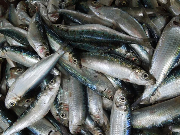 Pesci di cibo — Foto Stock