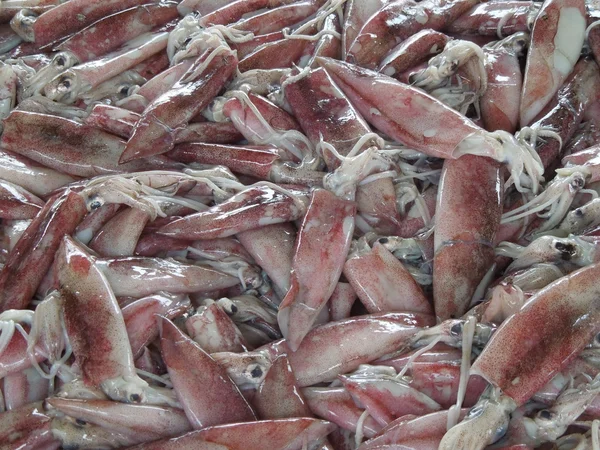 Calamares fondo — Foto de Stock