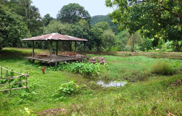 Paisagem agrícola no laos — Fotografia de Stock