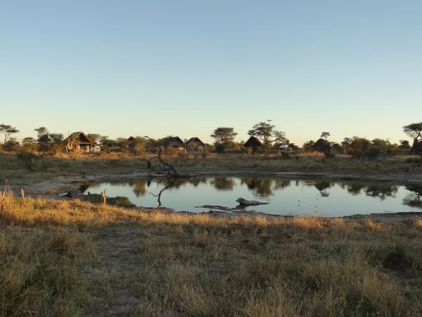 Fil Lodge Botsvana — Stok fotoğraf