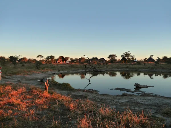 Elefantenlodge in Botswana — Stockfoto
