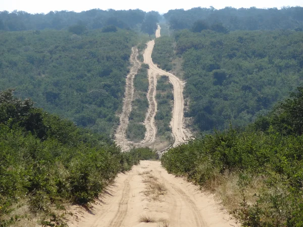 Camino de Savannah —  Fotos de Stock