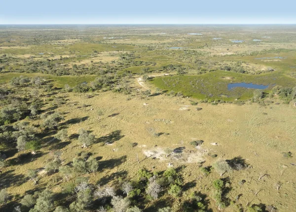 Okavangodelta — Stockfoto