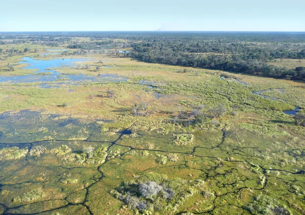 Okavangon suisto — kuvapankkivalokuva