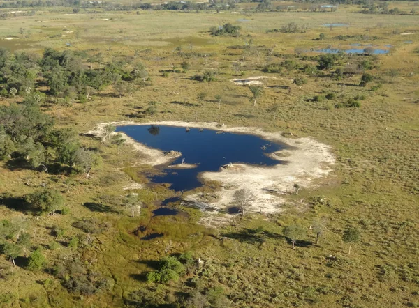 Okavangodelta — Stockfoto