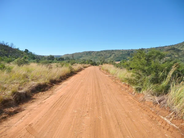 Savannah road — Stock Photo, Image