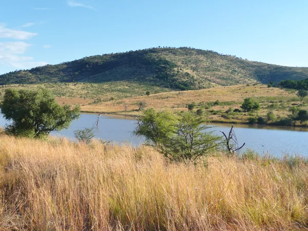 Pilanesberg wildreservaat — Stockfoto