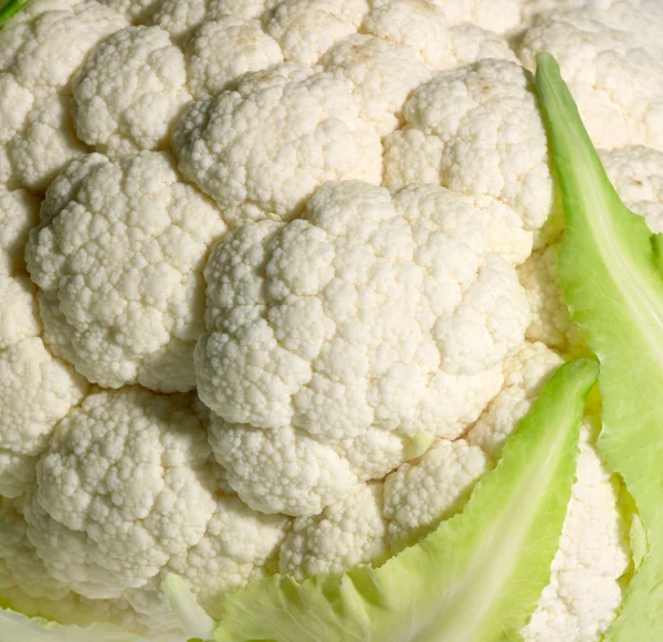 Cauliflower detail — Stock Photo, Image