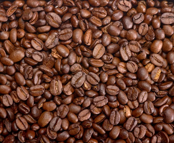 Roasted coffee beans — Stock Photo, Image