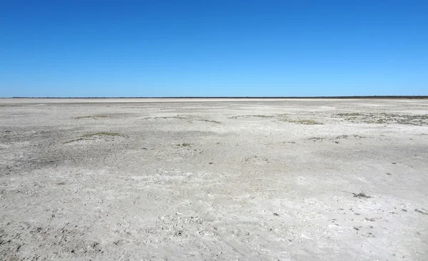 Panela makgadikgadi — Fotografia de Stock