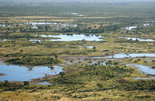 Okavango Deltası — Stok fotoğraf