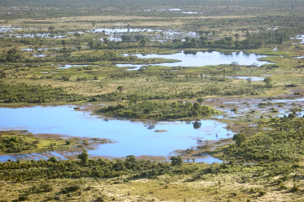 Okavangodelta — Stockfoto