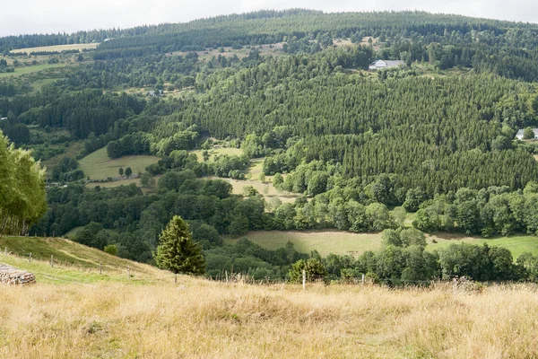 Cenário vosges — Fotografia de Stock