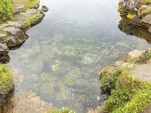 Pobřežními detail na Islandu — Stock fotografie