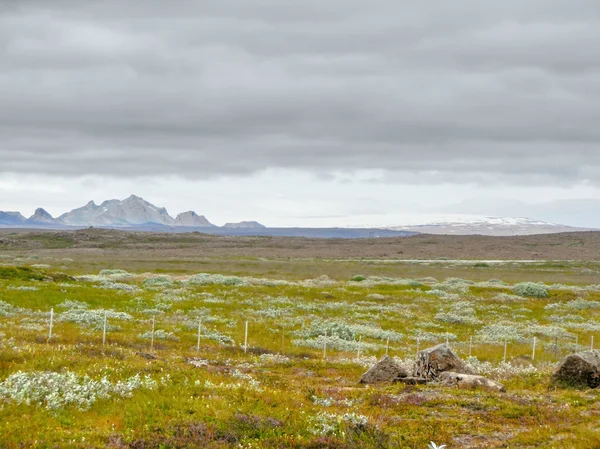 Landschaft in Island — Stockfoto