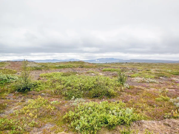 Landscape in Iceland — Stock Photo, Image