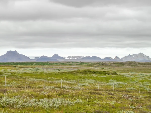 Landscape in Iceland — Stock Photo, Image