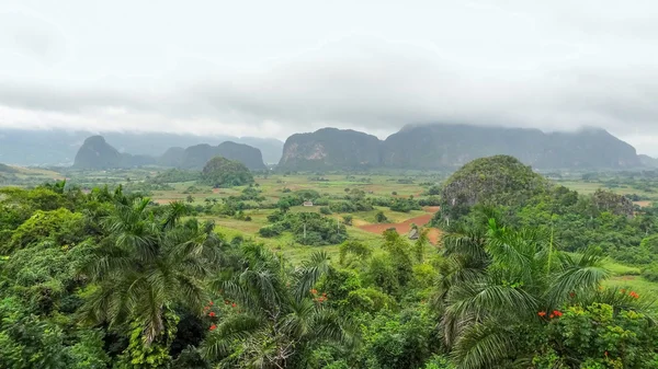 Cena tropical em torno do Vale de Vinales em Cuba, uma ilha no mar do caribe — Fotografia de Stock