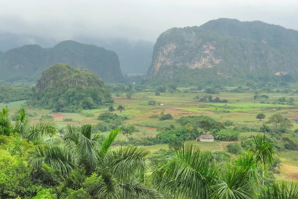 Tropical scene around Vinales Valley in Cuba, a island in the caribbean sea — Stock Photo, Image