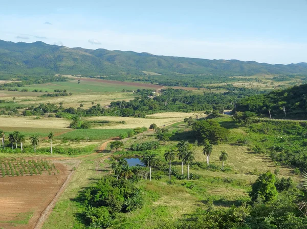 Küba'da Vinales Vadisi — Stok fotoğraf