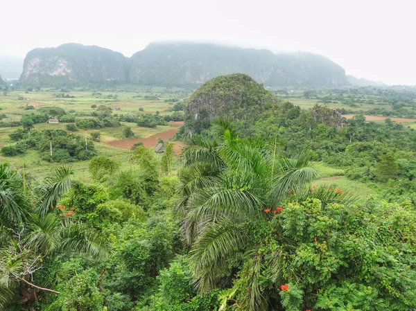 Em torno de Vinales Valley em Cuba — Fotografia de Stock