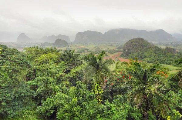 Rund um vinales tal in kuba — Stockfoto