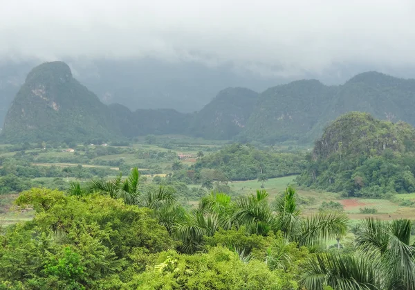 Em torno de Vinales Valley em Cuba — Fotografia de Stock