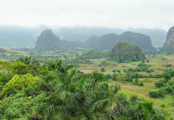 Em torno de Vinales Valley em Cuba — Fotografia de Stock