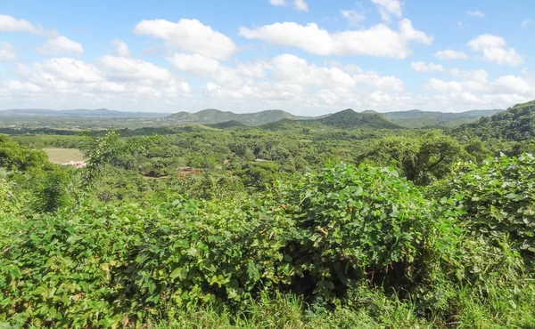 Küba'da Vinales Vadisi — Stok fotoğraf