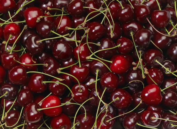 Fondo de marco completo que muestra un montón de cerezas rojas — Foto de Stock