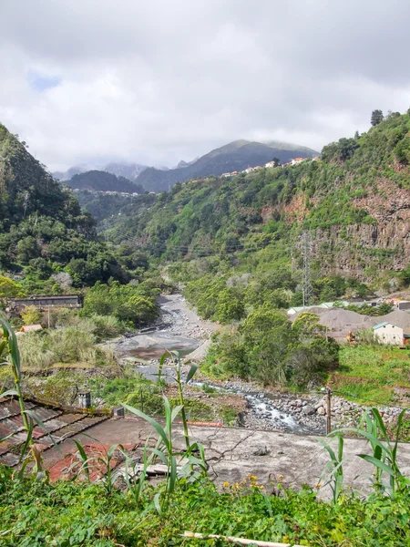 Elemzi a Madeira szigetén — Stock Fotó