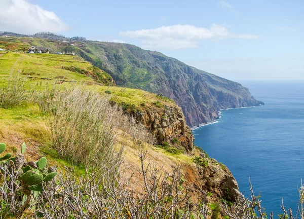 Elemzi a Madeira szigetén — Stock Fotó