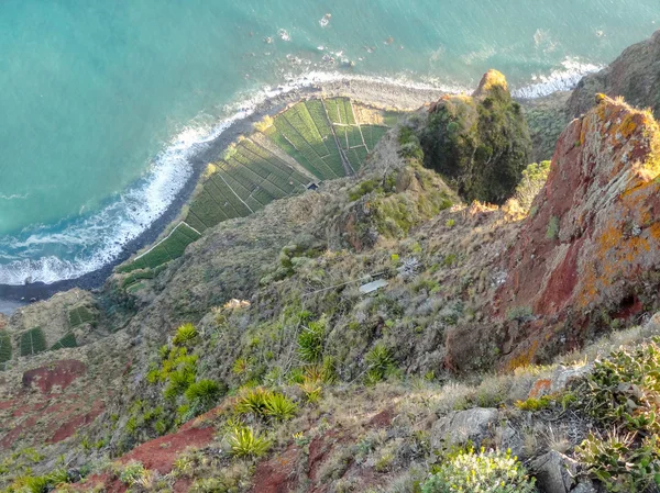 Ilha chamada Madeira — Fotografia de Stock