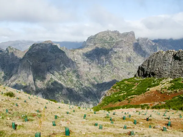 Isola di nome Madeira — Foto Stock